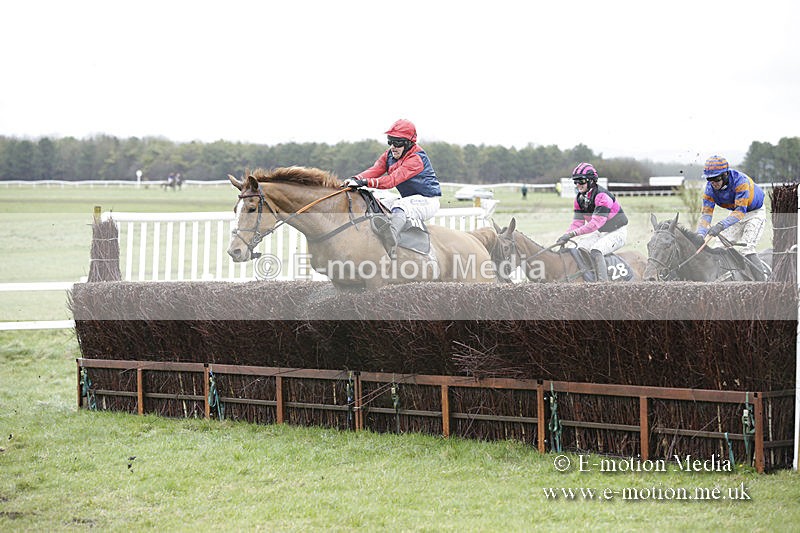 PtP 150320 0222 - New Forest Point-to-Point Larkhill 15/03/20