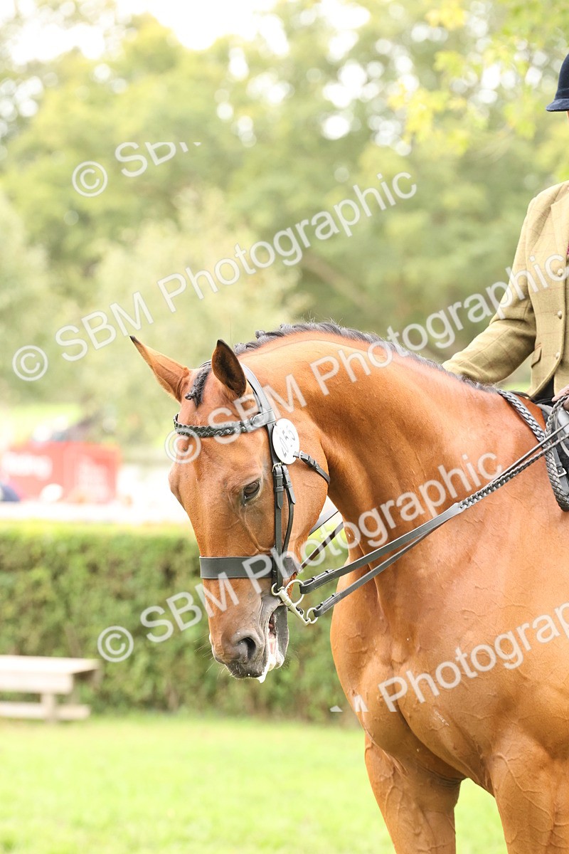 SBM_66376 - S66 - Hunter Ridden
