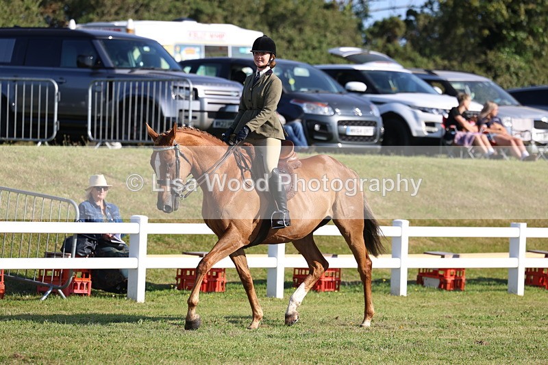 3E7A5378 - Class 2: Rising Star Large Hack/Riding Horse