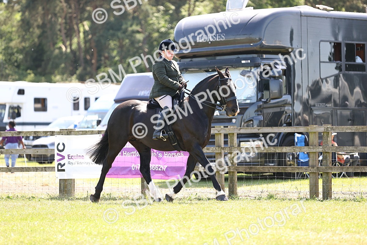 SBM_17815 - Class 81-83 - TSR Ridden Amateur of the Year - Horses