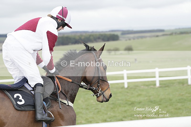 PtP 260323 0446 - New Forest Hounds Point-to-Point Larkhill 26/03/23