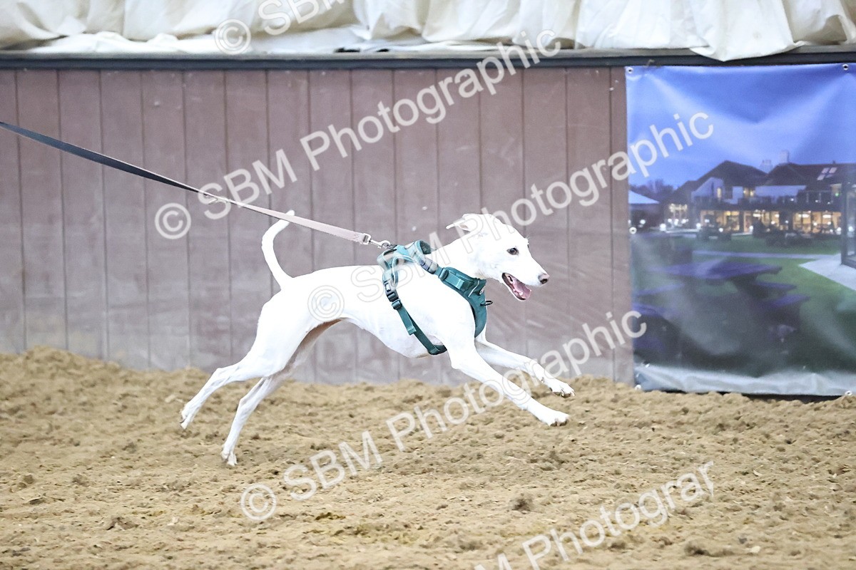 SBM_001332 - Class 3 - Horse & Hound 60cm