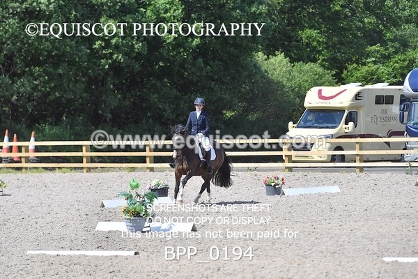 BPP_0194 - SHORT ARENA  MY QUEST PRELIM