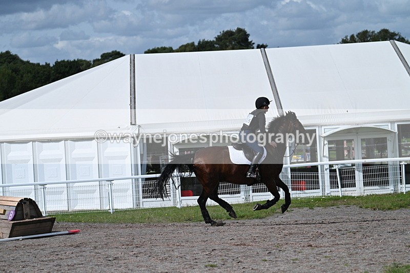 WJ7_1971 - Time 13:17 to 13:53