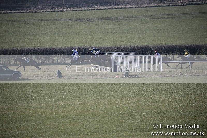 PtP 240218 133 - Vine & Craven Hunt Point-to-Point Barbury racecourse 24/02/18