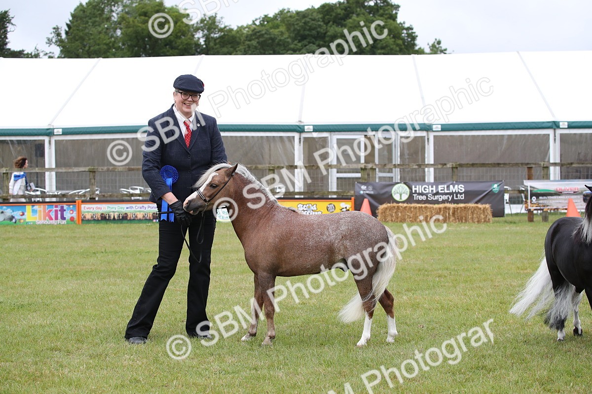 SBM_03830 - Class 23-25 - British Miniature Horse of the Year