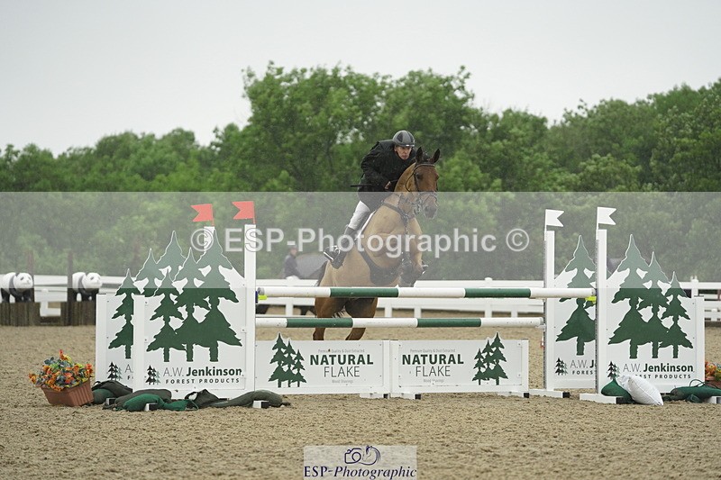 230722A-131328-09292 - Cls 15, 1 Star Bronze 1.15m