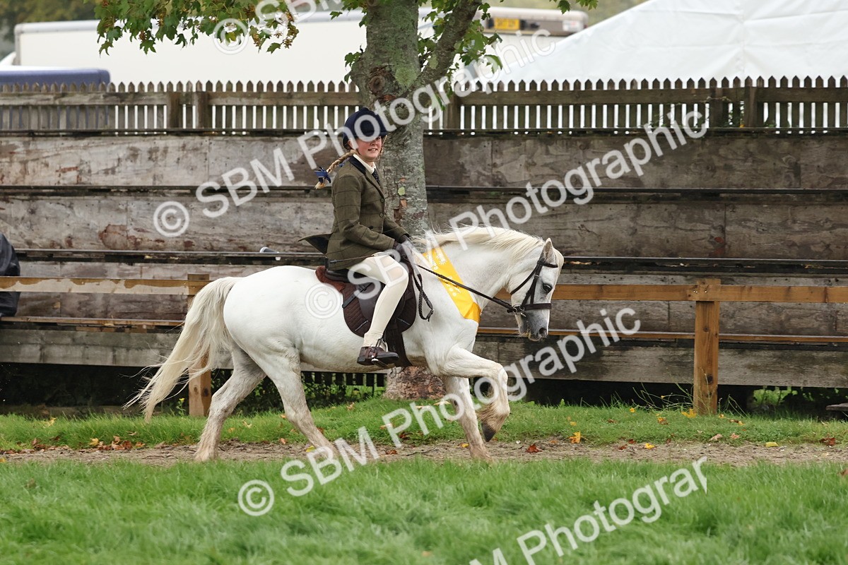 SBM_73120 - Ridden Pony Supreme Championship
