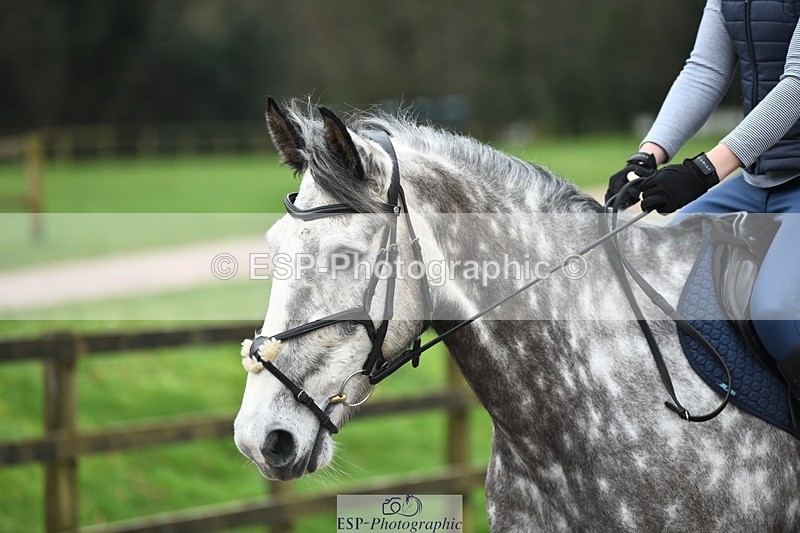 240218-115156-02232 - SJ 10 to 11