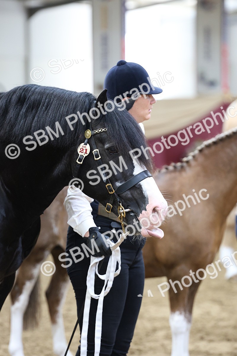 SBM_22463 - Class 902 - Supreme Final - IH Diamond