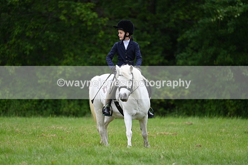 WJ7_4475 - Class 14B Prettiest Mare