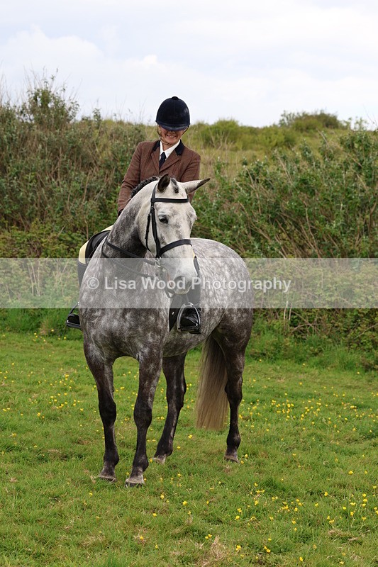 3E7A1907 - Class 9: Riding Club Horse/Pony