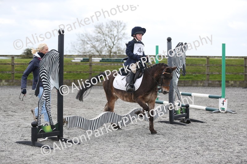 20260412-0566 - Show Jumping
