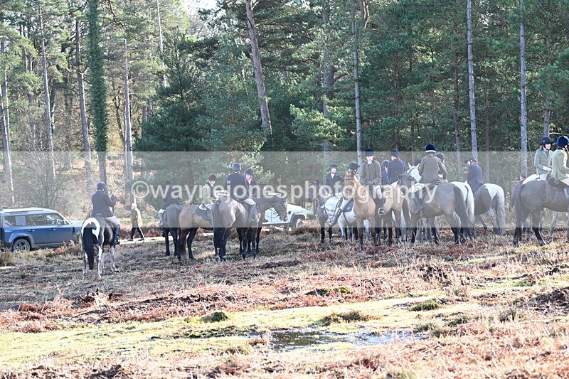 WJ7_7434 - Line 3 (no line 4 or 5)