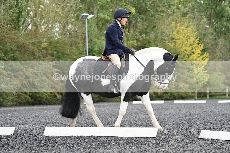 WJ7_3195 - Time 09:54 to 10:54