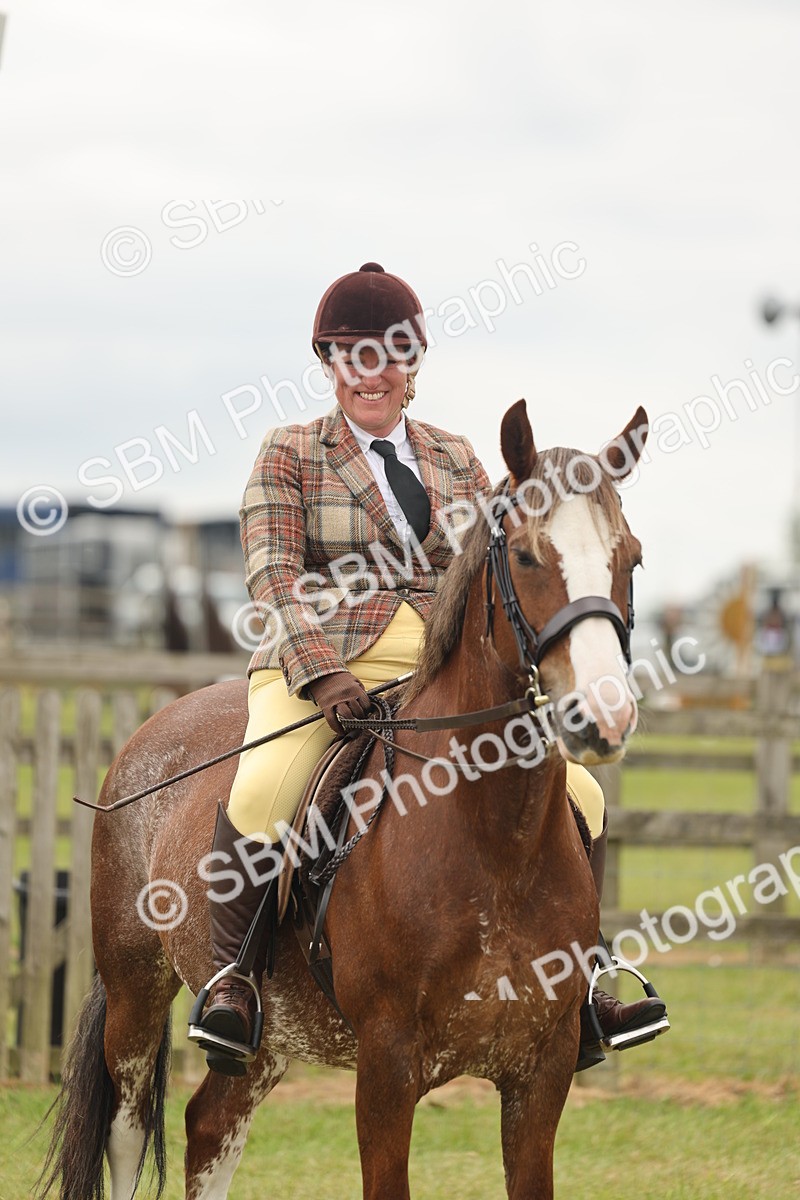SBM_07236 - Class 76-77 - Ridden M&M Welsh Ponies