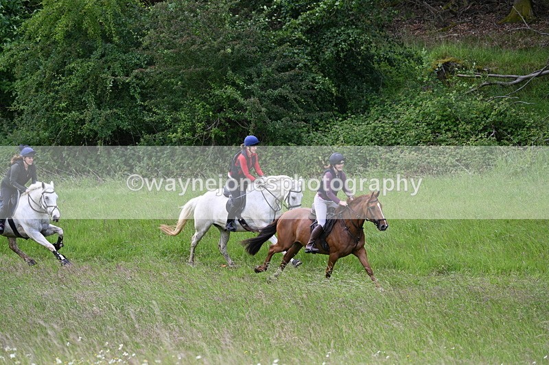 WJ7_8513 - Group 1 10am