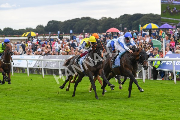 240823-Race 3-Ropey Guest-0385 - Race 3 3.00pm Clipper Handicap