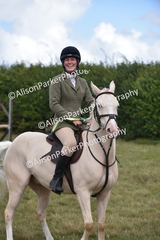 20250831-4143 - Class 13 - Working Hunter Horse or Pony