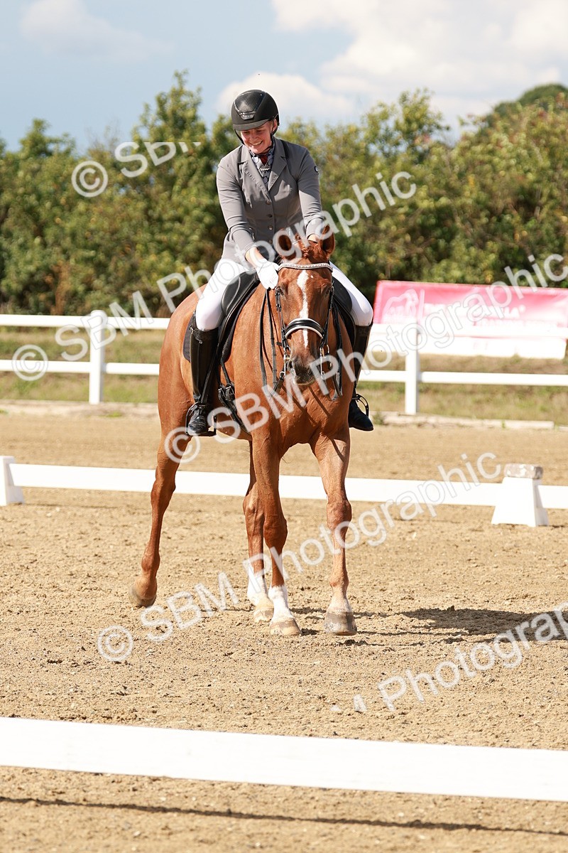 SBM_002573 - Class 11 - Medium 6