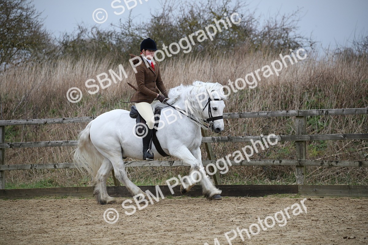 SBM_006120 - Class 10-13 - RIHS Small Large Breeds