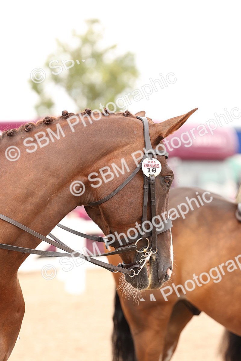 SBM_17268 - Class 213 - Ridden Hunter - Large