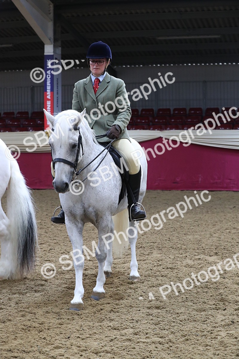 SBM_10459 - Class 102 Equitation (best rider) Adult