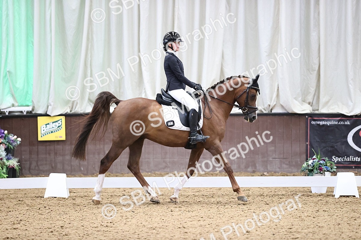 SBM_008358 - Class 15 - FEI Junior Pony Team-YR-COH