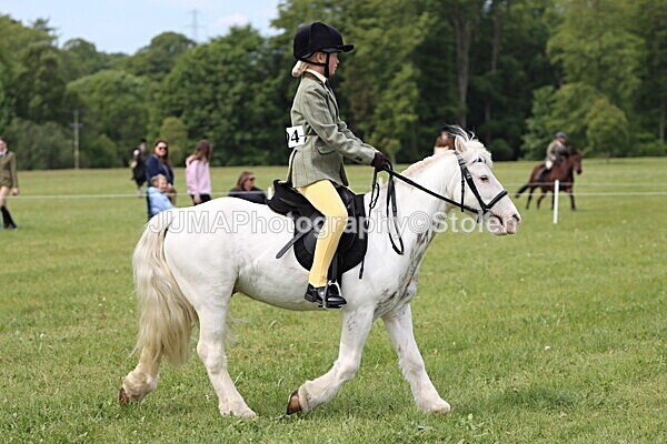 IMG_2646 - Working Hunter