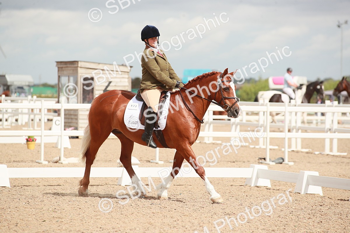 SBM_05855 - Class 32 - Novice 1