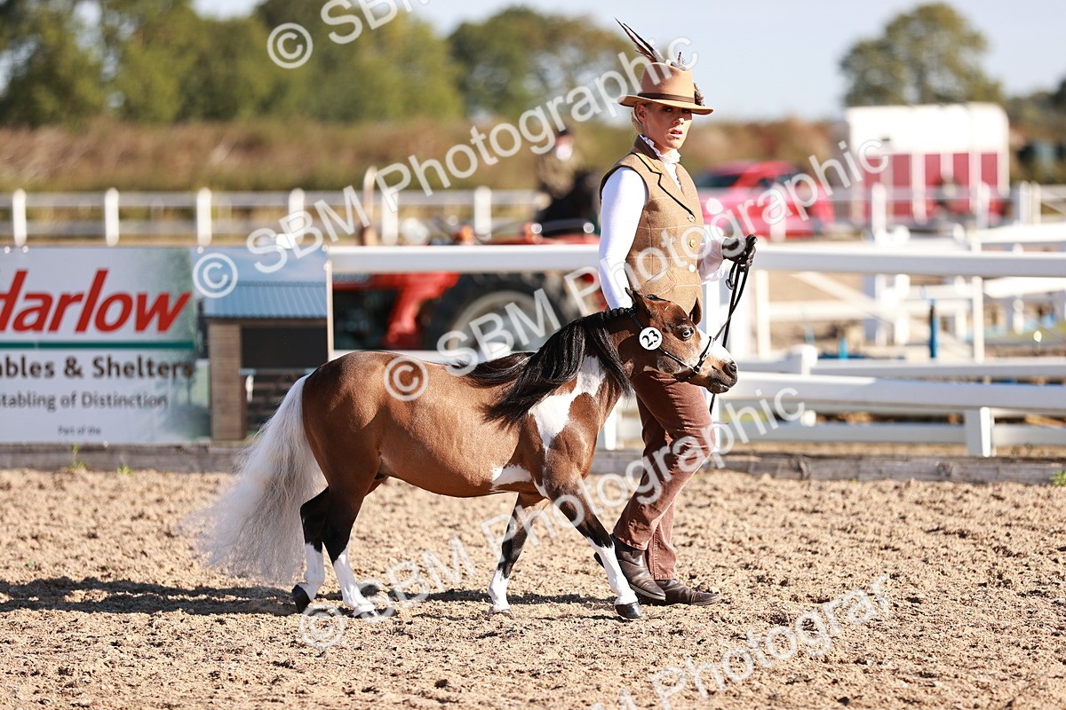 SBM_11452 - Class 402 - IH  Veteran pony