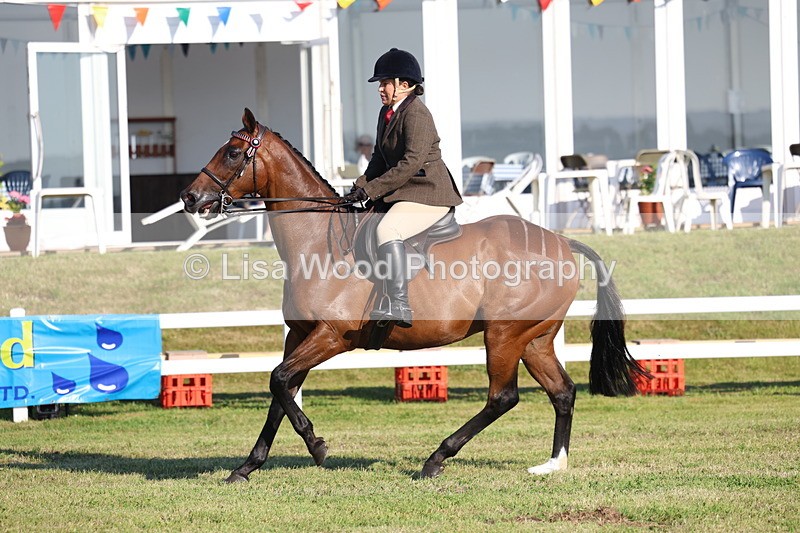 3E7A5011 - Class 1: Rising Star Small Hack/Riding Horses