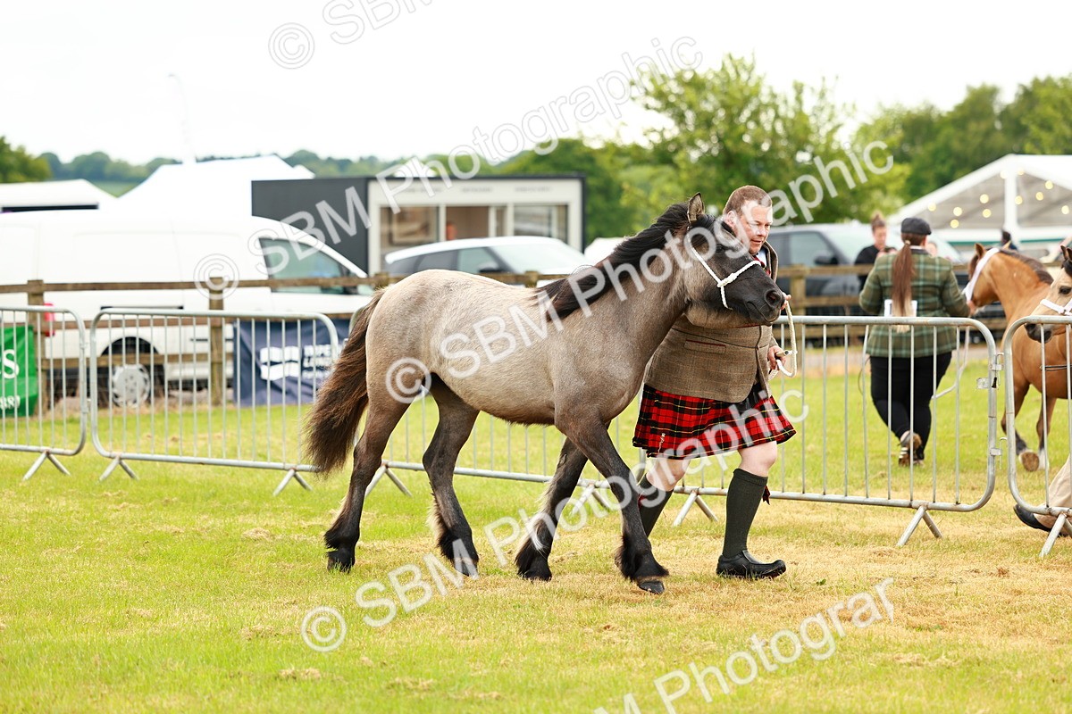 SBM_00369 - Class 58-67 - M&M Non Welsh Pony In hand