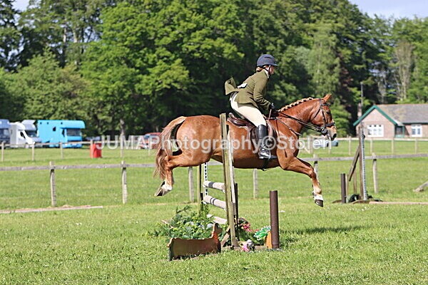 IMG_4892 - Working Hunter