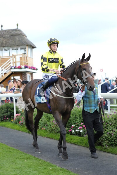 yr18082022r7-19 - Race 7 5.20pm British Stallion Studs EBF Fillies' Stakes