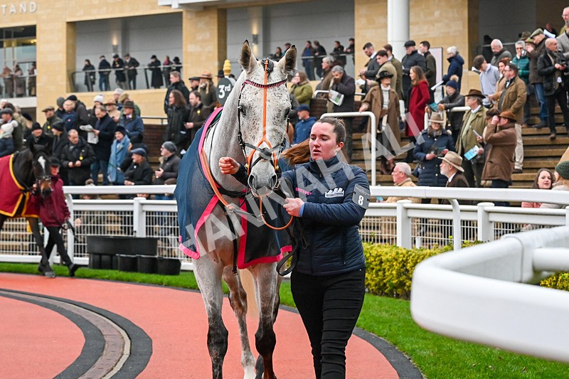 131224-Race 3-Tintintin-9332 - Race 3