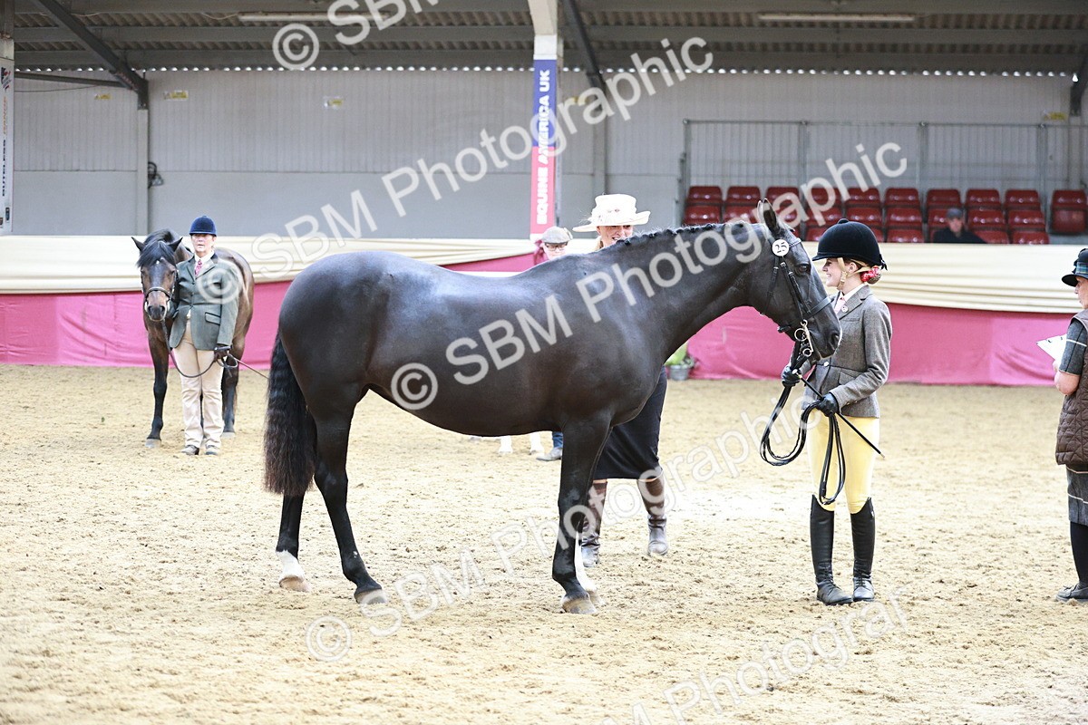 SBM_04811 - Class 7R - Regional IH Diamond