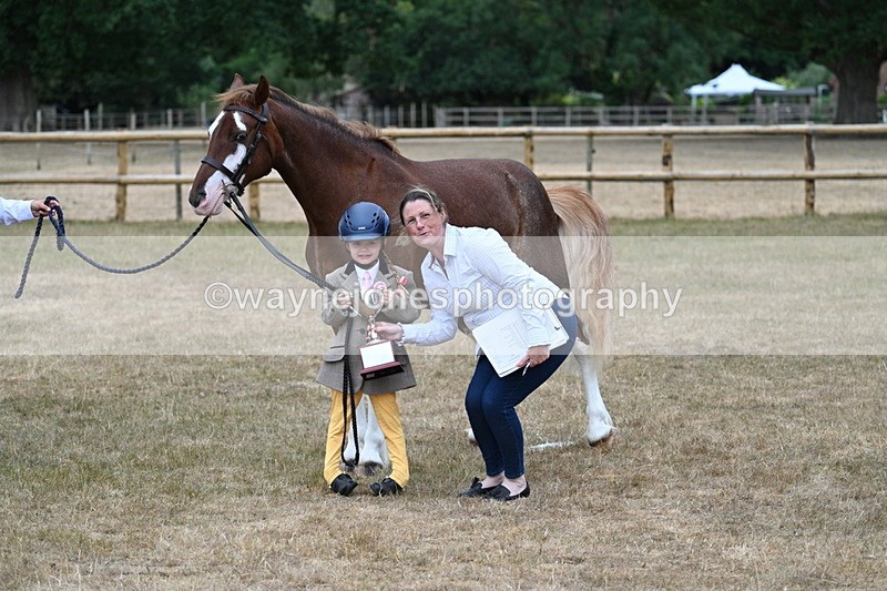 WJ7_9360 - Prettiest Mare Champs