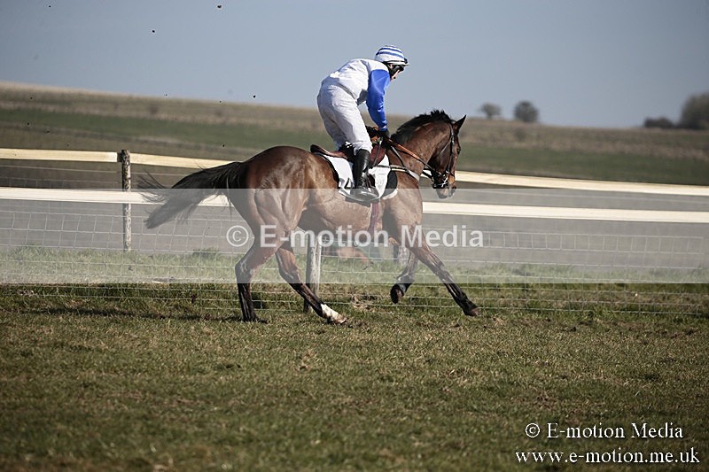 PtP 240218 319 - Vine & Craven Hunt Point-to-Point Barbury racecourse 24/02/18