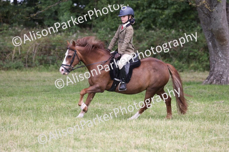 20260614-2099 - Class 21 - Novice Working Hunter Pony