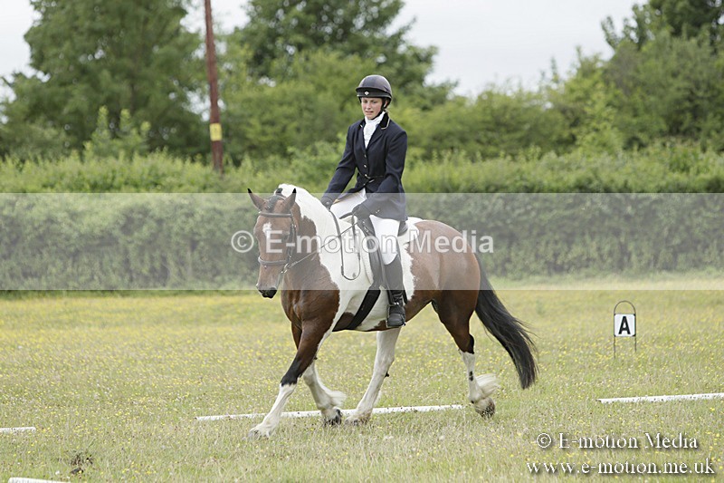 BVR160717-1379 - Class 3 Dressage 16/07/17
