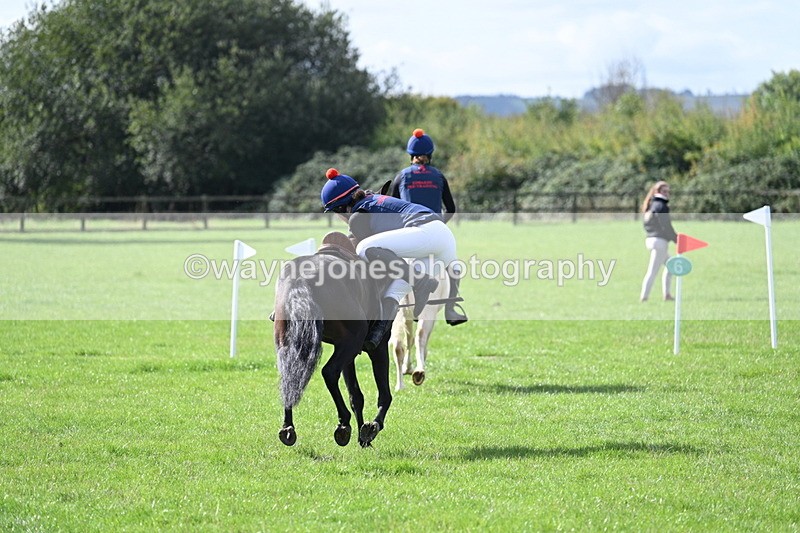 WJ7_8518 - 60cm Pairs