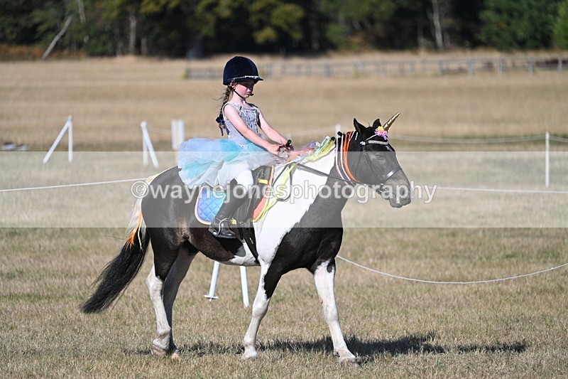 WJ7_2813 - Class 45 Fancy Dress (My Fav)