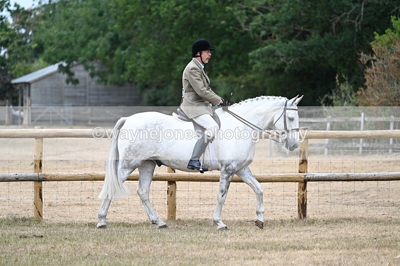 WJ7_0728 - Class 7 Riding Club Show Horse