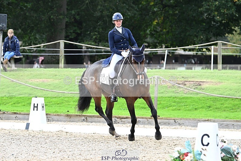 231019-145357-04312 - 057-OVERTON.TILANA'S.GOLD-Claire.Deuten-DR