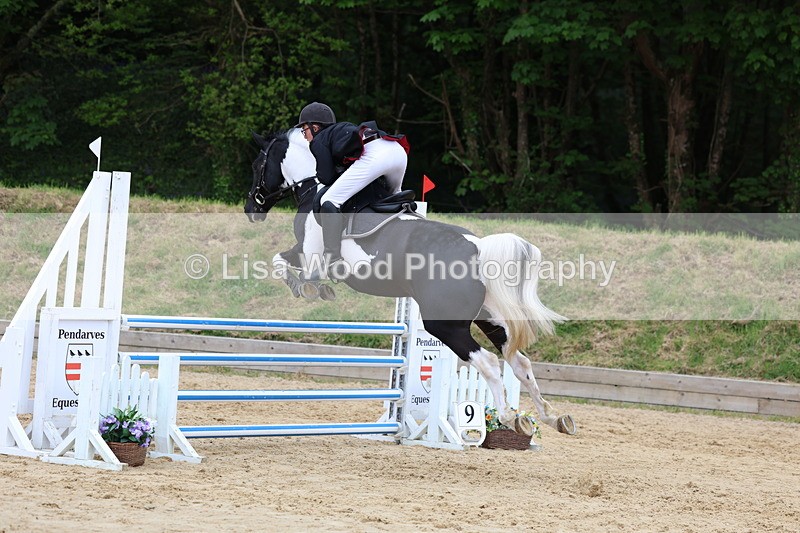 3E7A6522 - Class 4: Senior British Novice/90cm open