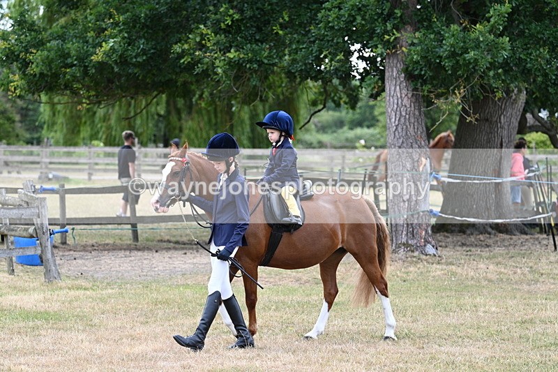 WJ7_9505 - Class 1 Lead Rein Pony