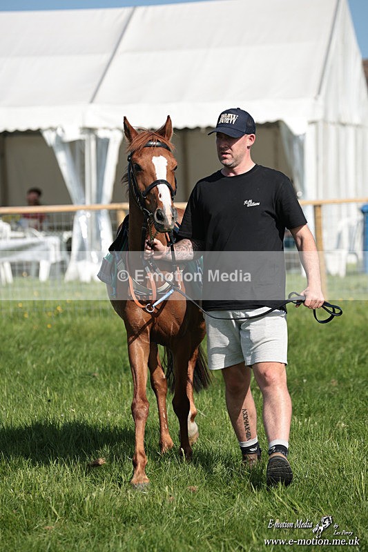PR 250526 47 - Pony Racing from Chaddesley Corbett 25/05/26