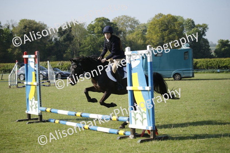 20250427-0339 - Class 12 - Rookie Jumping 40cm