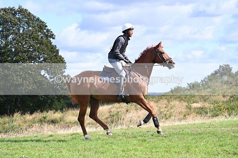 WJ7_0158 - Time 11:02 to 11:34